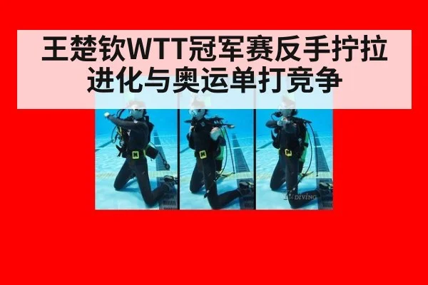王楚钦WTT冠军赛反手拧拉进化与奥运单打竞争
