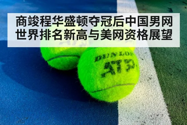ATP Washington tennis match