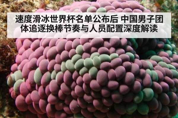速度滑冰世界杯名单公布后 中国男子团体追逐换棒节奏与人员配置深度解读