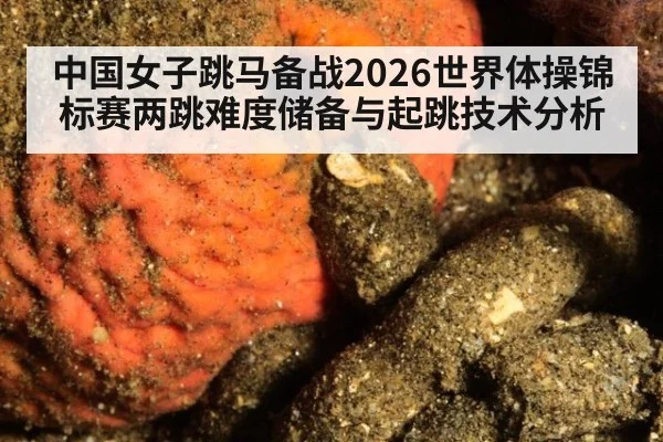 中国女子跳马备战2026世界体操锦标赛两跳难度储备与起跳技术分析